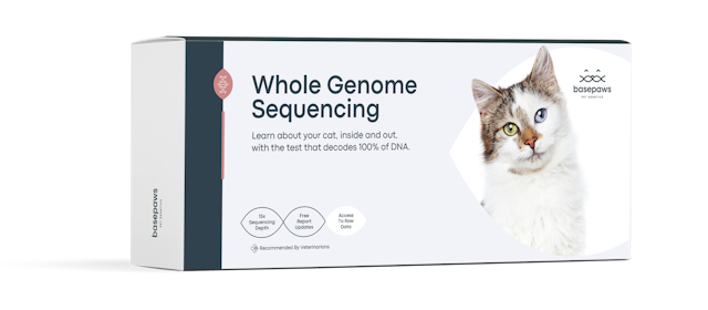 IMG New Packaging Whole Genome Seq for Cats WGS