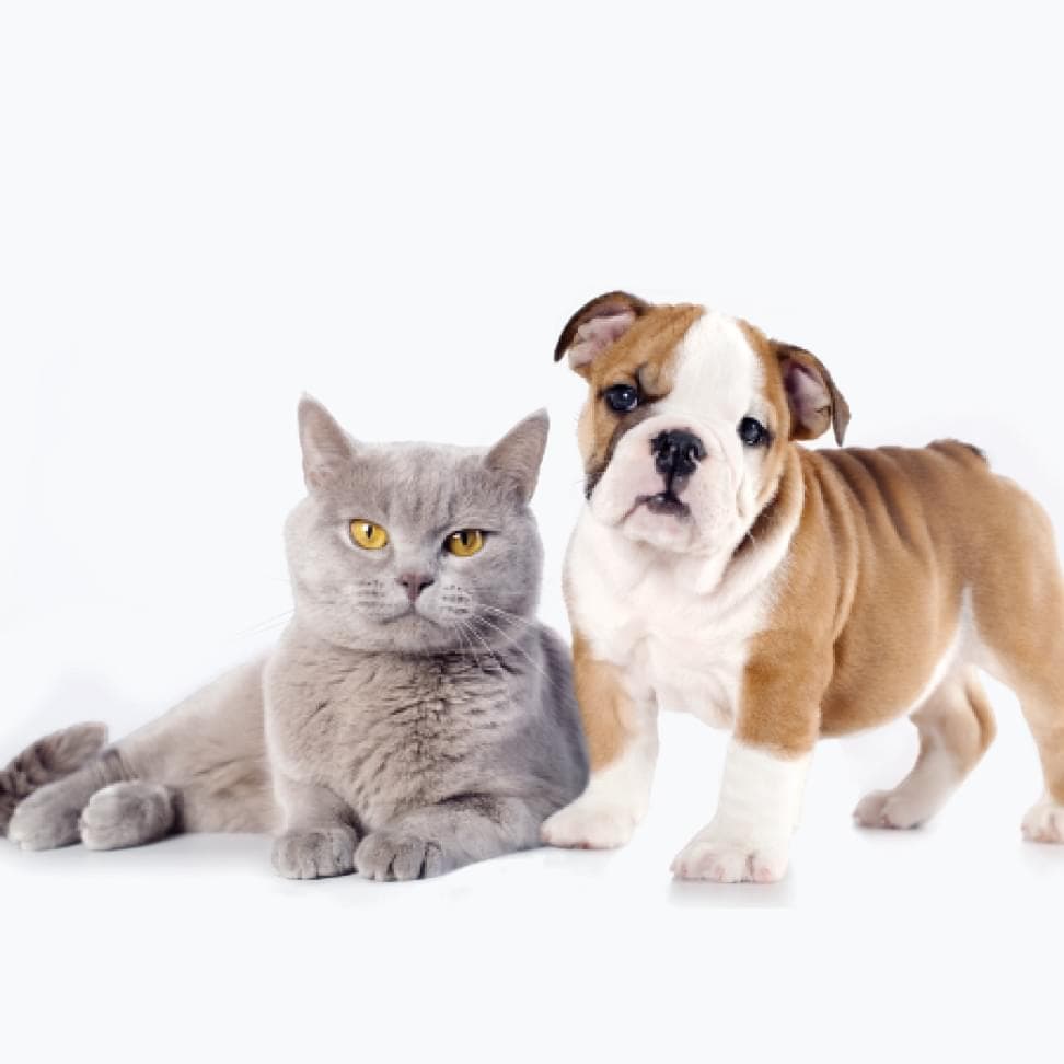 about-section-img-knowledge@2x