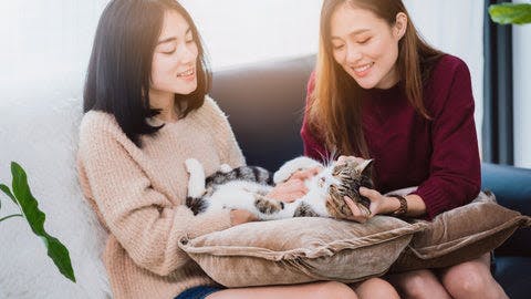 two women sitting on a couch with a cat