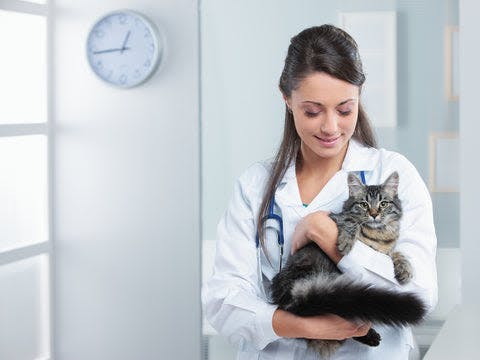 a woman in a lab coat holding a cat