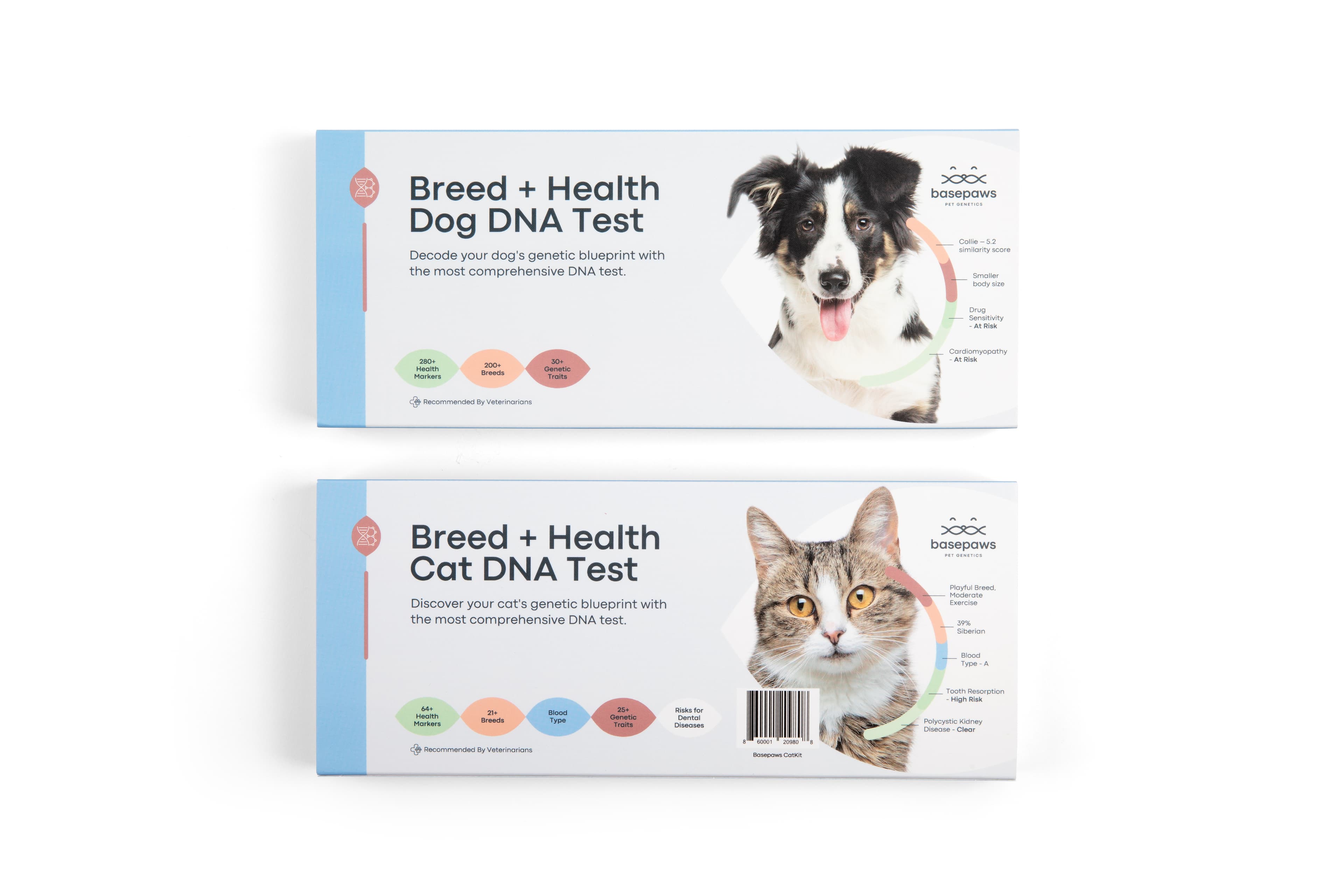 cat and dog dna test box together - product photoshoot 2023