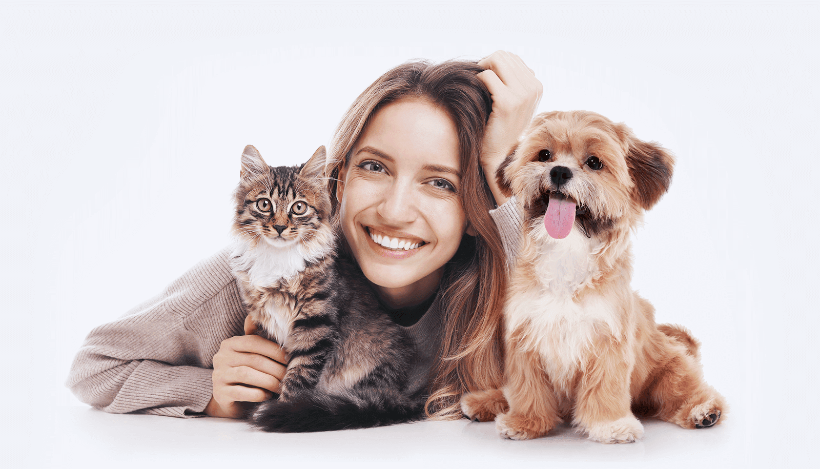 BP hero december 2400x1372