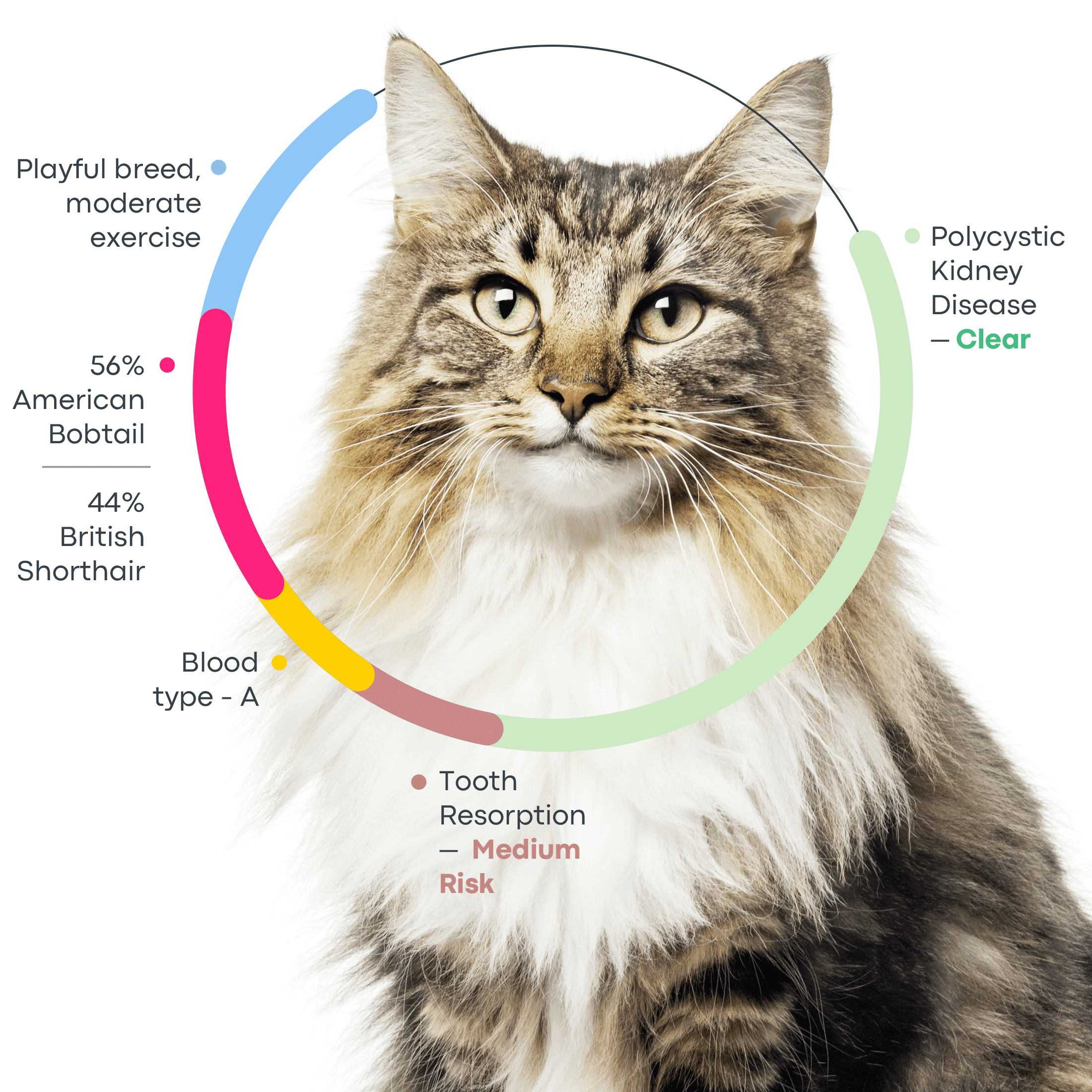 Let their genome do the talking image - PDP WGS