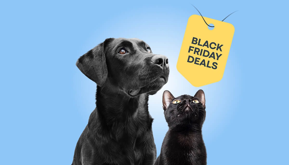 Black Friday Hero Image