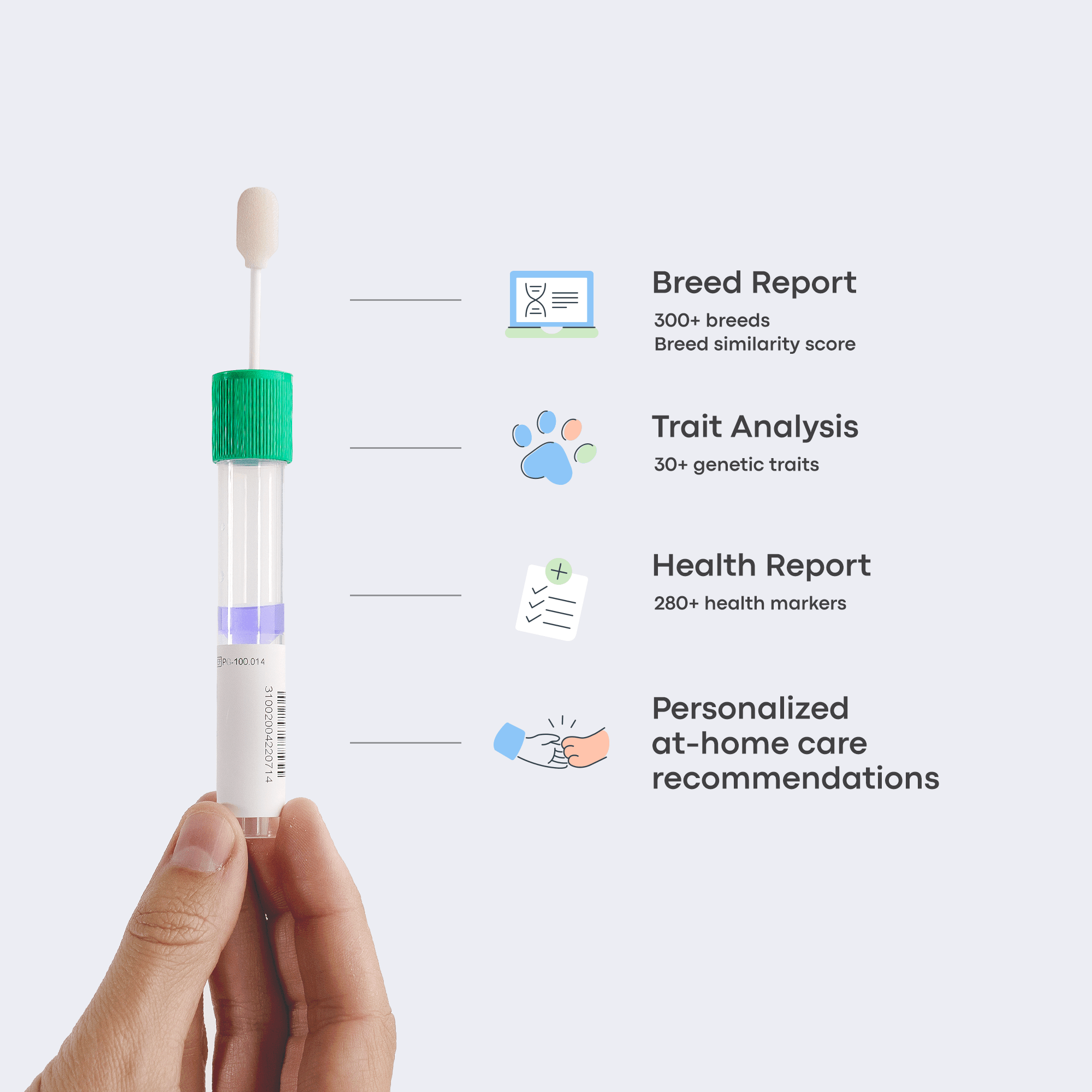 dog dna testing cotton swab