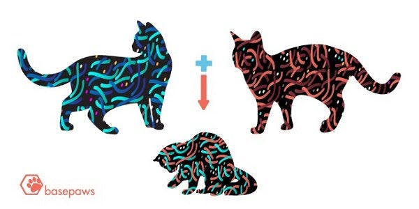a cat and a dog are depicted in this graphic