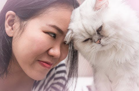 a woman is petting a white cat with her eyes closed