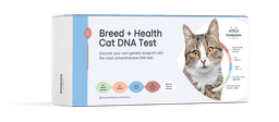 BP box refresh 3d cat DNA